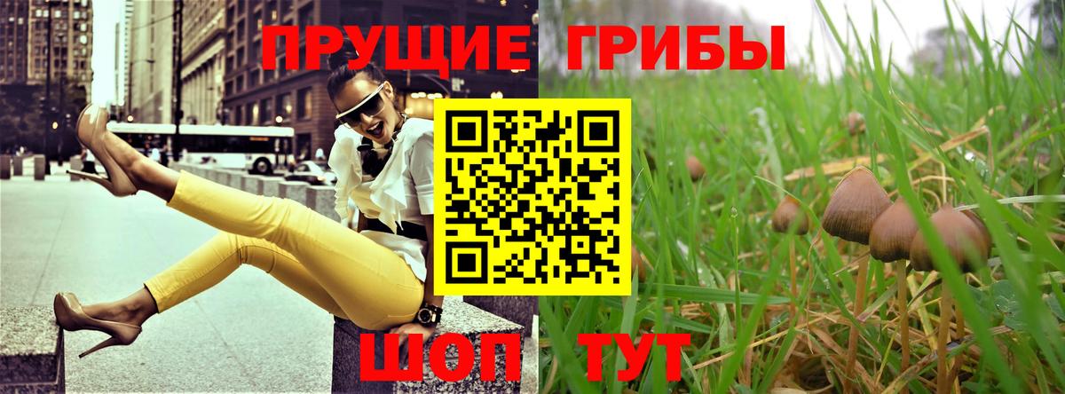Псилоцибиновые грибы ЛСД  Вход с VPN  Павлово 